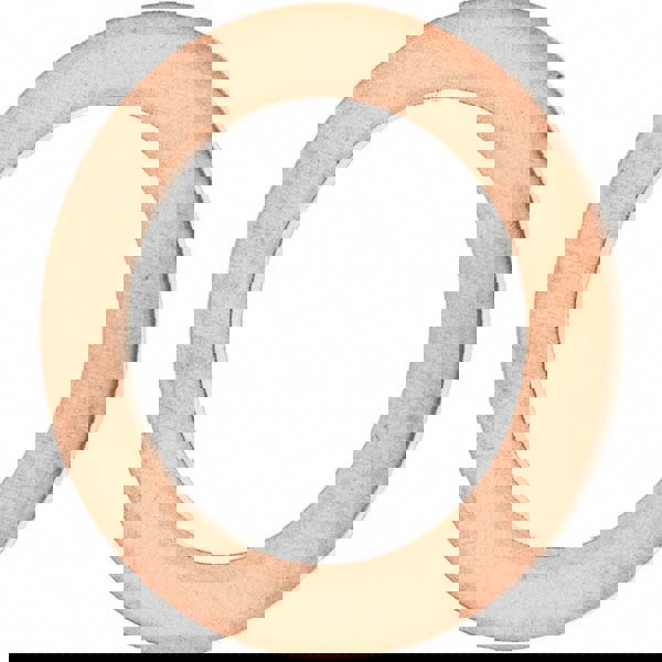 1 SAE, Oil Drain Plug Gasket